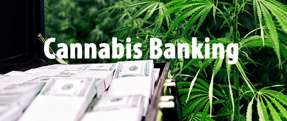 cannabis business banking law