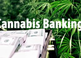 cannabis business banking law