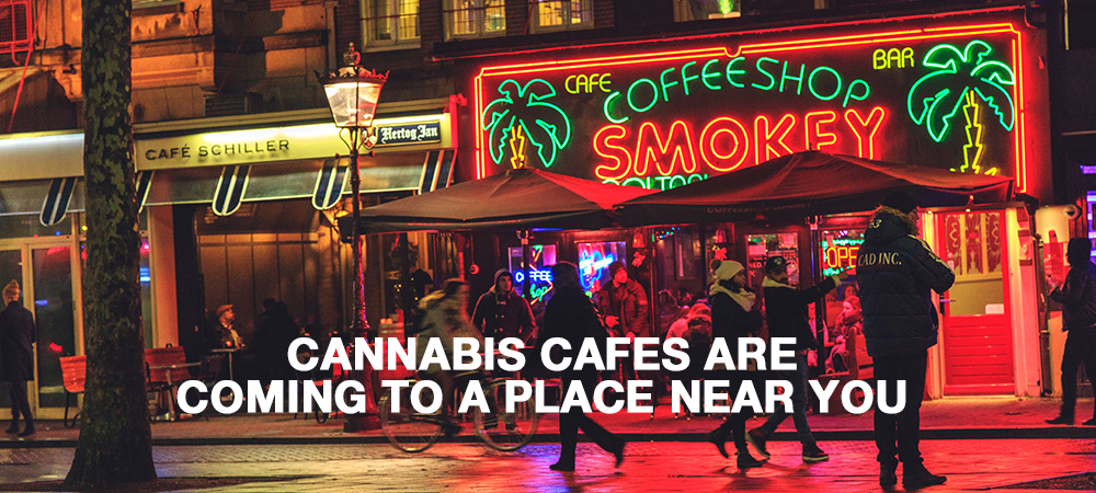 West Hollywood Approves Cannabis Cafes And Consumption Lounges To Open