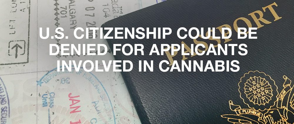 U.S. Citizenship Could Be Denied For Applicants Involved In Cannabis